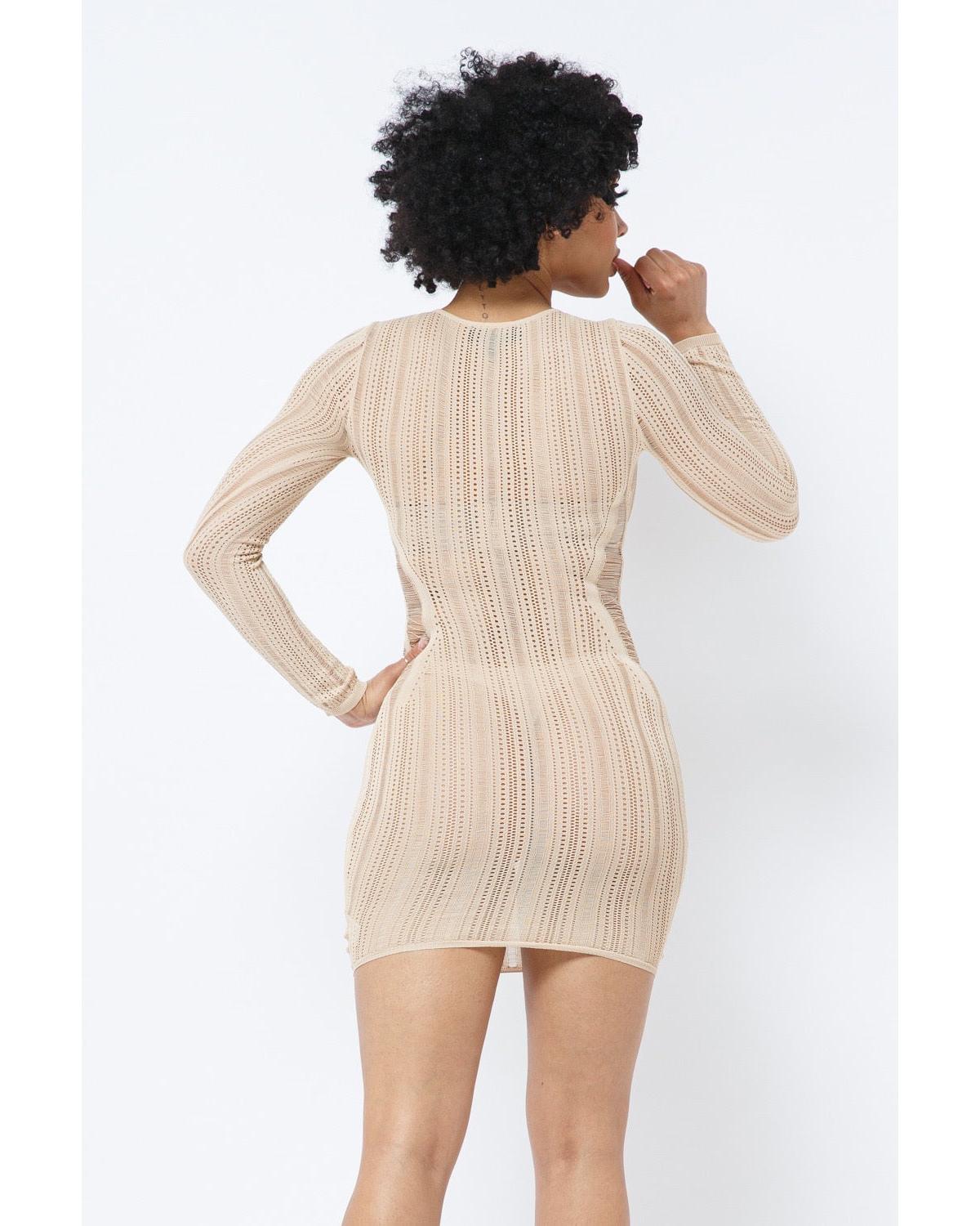 Nude Knitted Mesh Long Sleeve Mini Dress