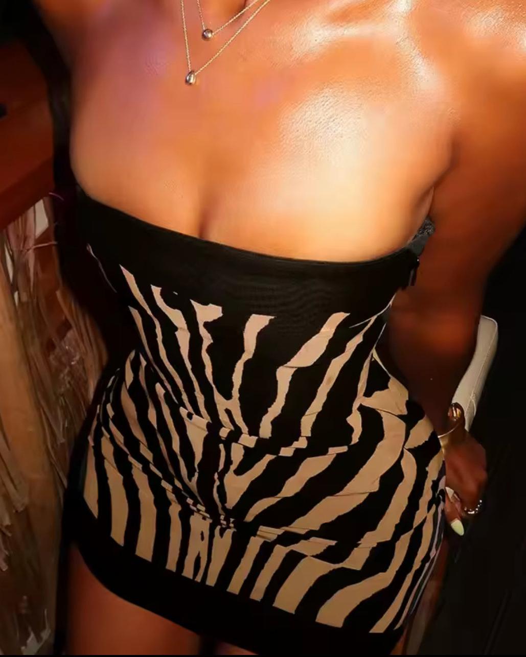 Zebra Striped Tube Dress