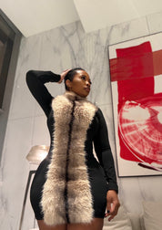 Faux Fur Mini Dress