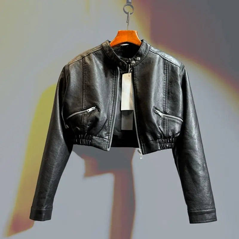 Cropped Motorcycle Jacket