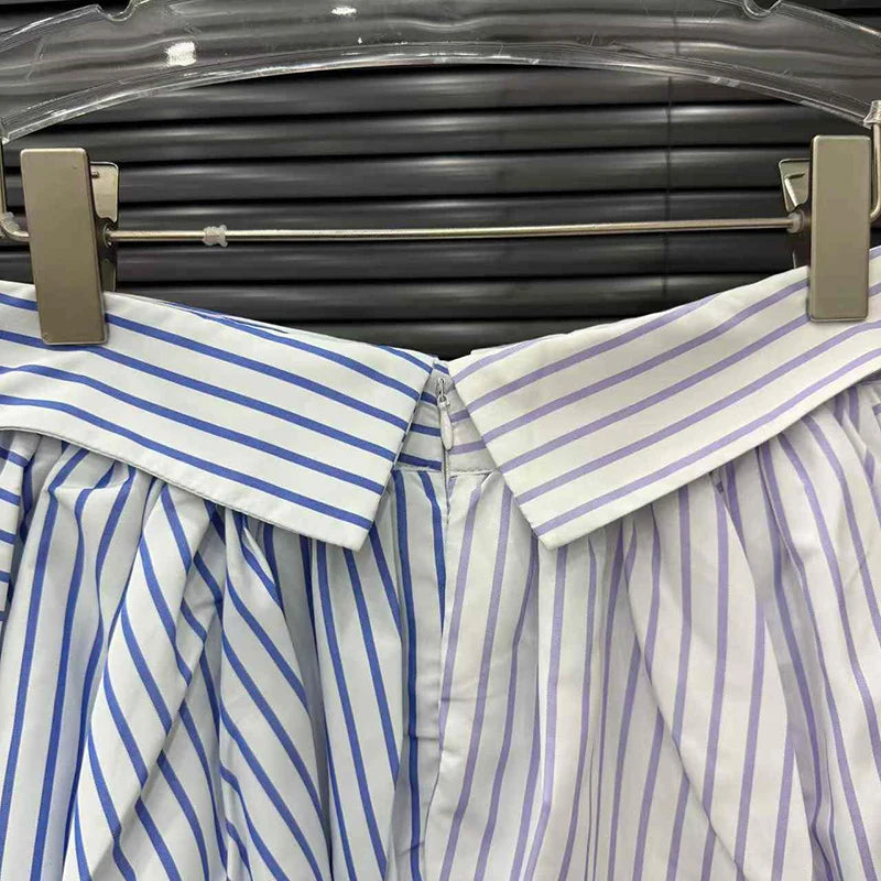 Striped Flare Skirt